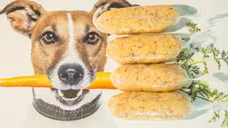 I 6 Migliori Alimenti Per Cani Per La Colite
